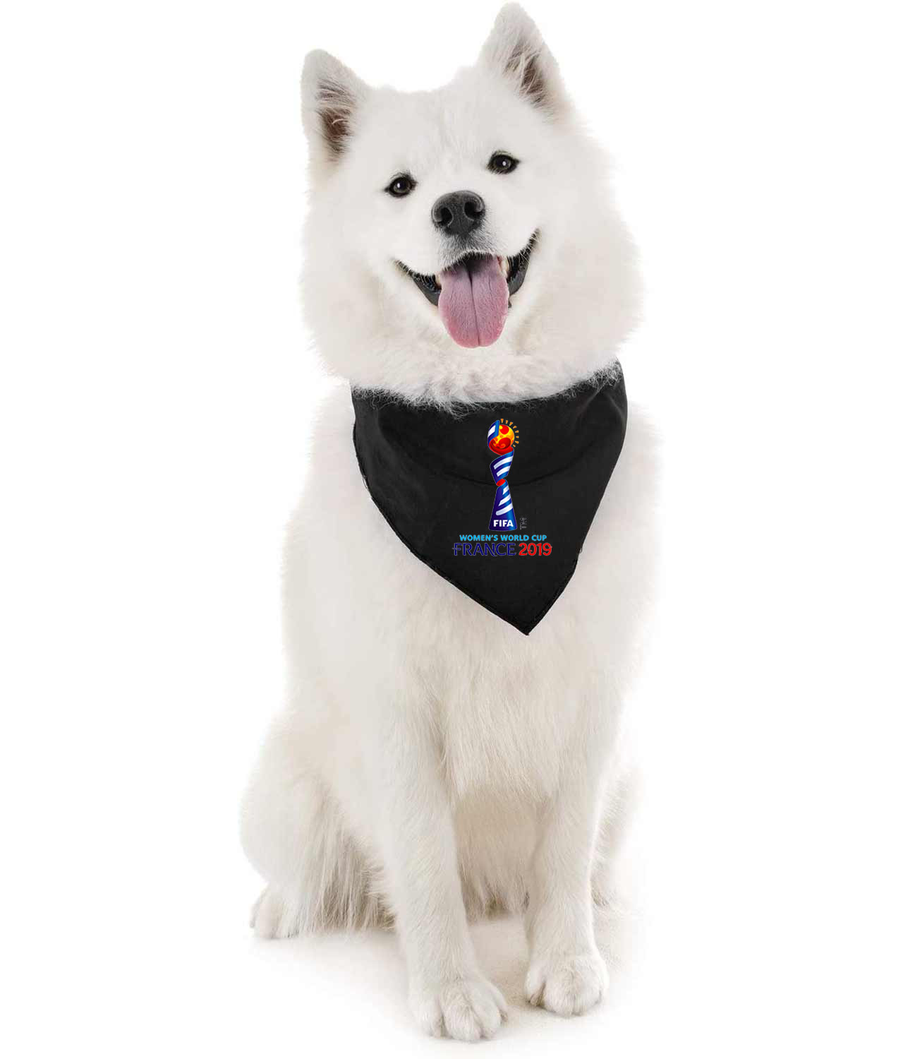 2019 FIFA Womens World Cup France Soccer Logo Symbol Emblem Customized Design on Doggie Puppy Dog Bandana