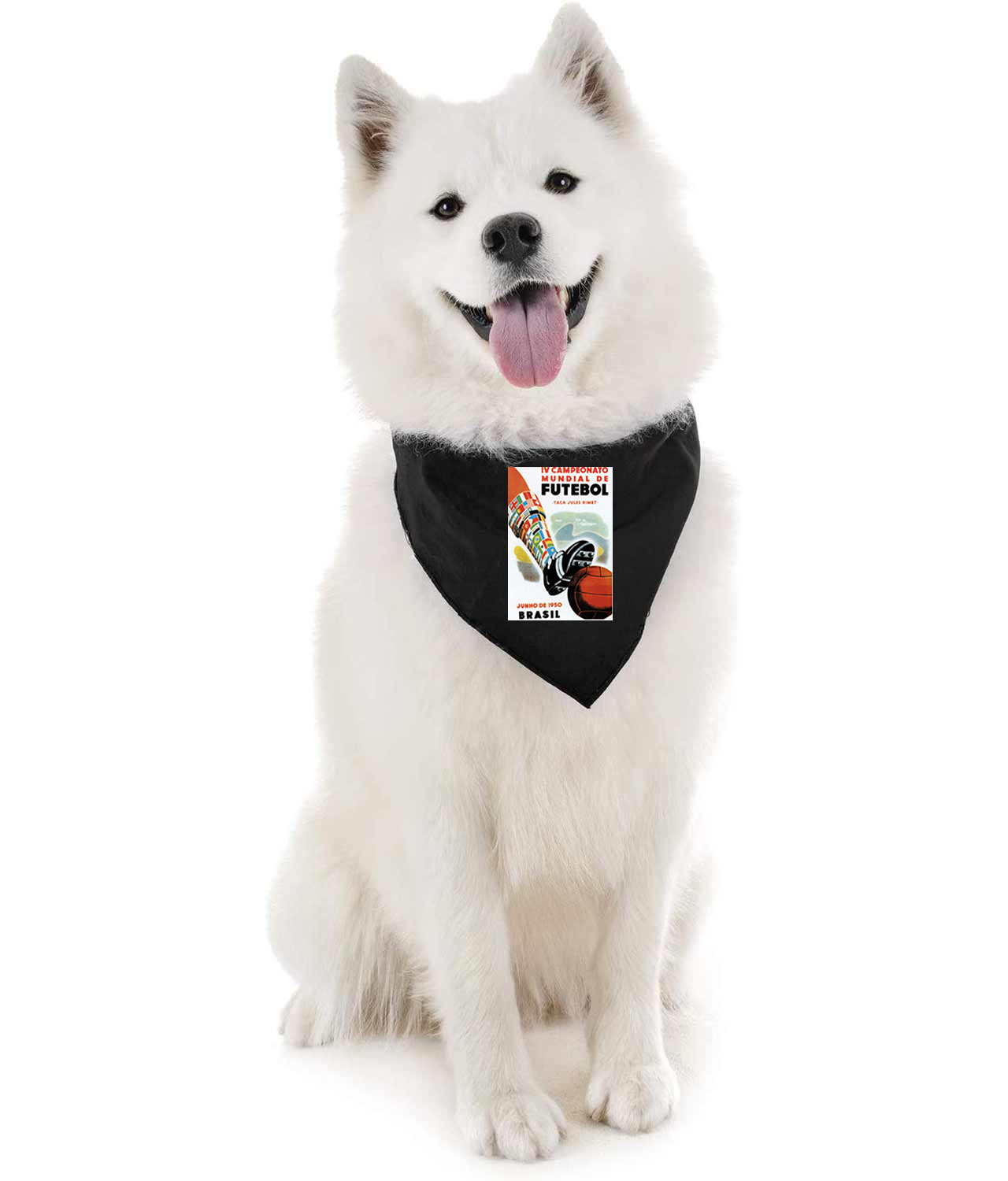 1950 FIFA World Cup Brazil Soccer Logo Symbol Emblem Customized Design on Doggie Puppy Dog Bandana