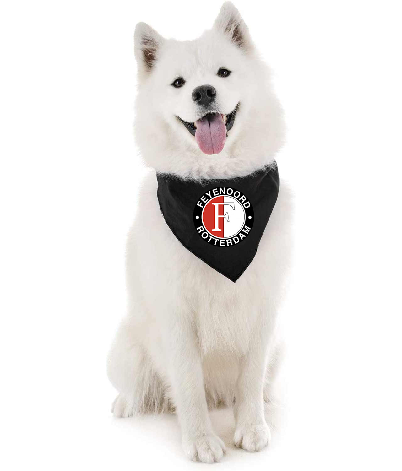 SC Feyenoord 1997 Soccer Logo Symbol Emblem Customized Design on Doggie Puppy Dog Bandana