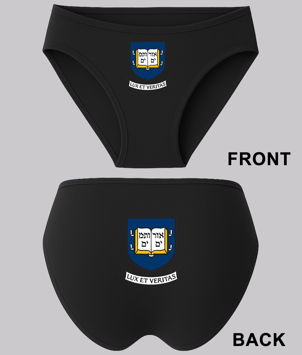 Yale University Font Text Education Logo Symbol Emblem Customized Design on Women's Plus Size Bikini Brief Underwear