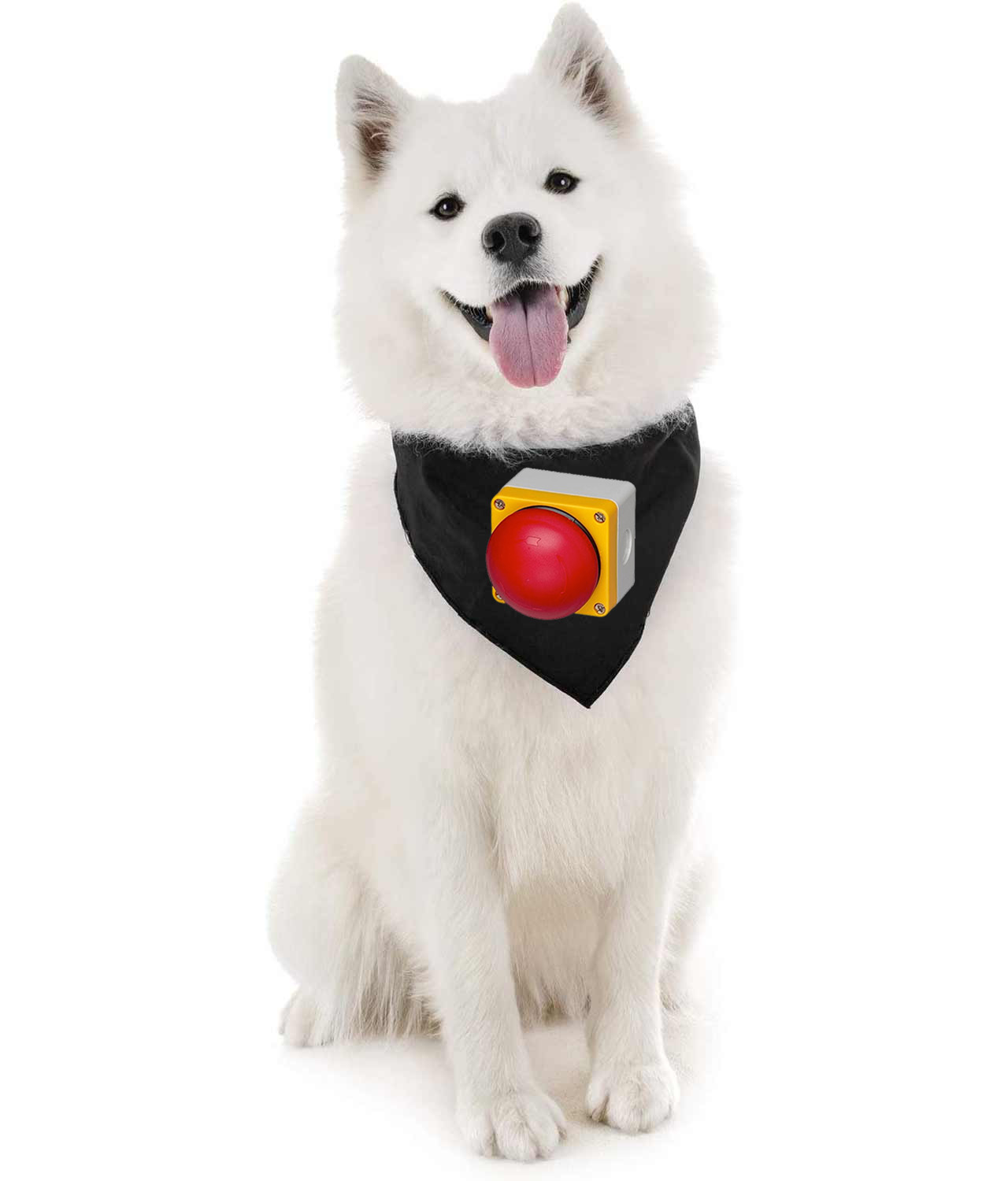 Emergency Stop Button Big Round Logo Symbol Emblem Customized Design on Doggie Puppy Dog Bandana