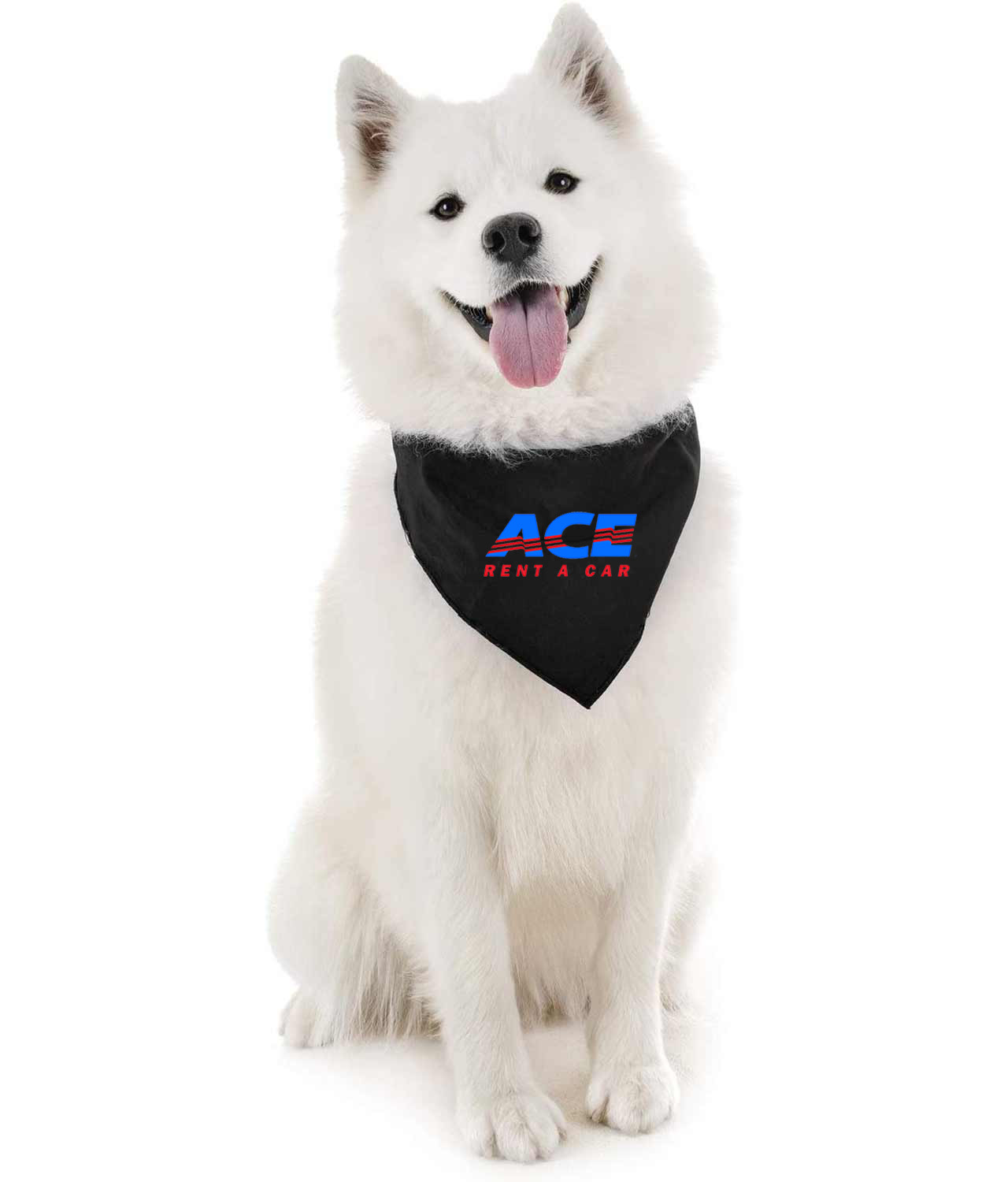 ACE Rent A Car Logo Symbol Emblem Customized Design on Doggie Puppy Dog Bandana