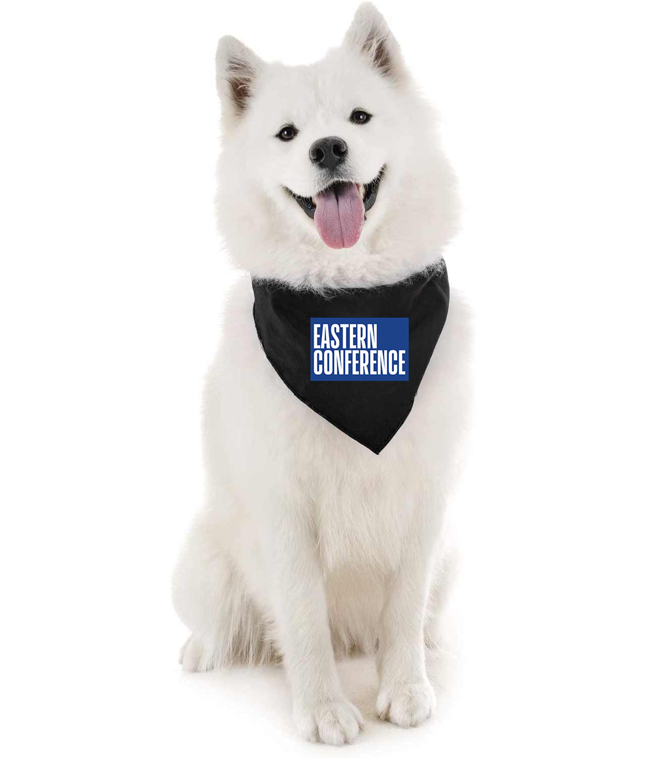 NBA Eastern Conference Dark Logo NBA Basketball Logo Symbol Emblem Customized Design on Doggie Puppy Dog Bandana