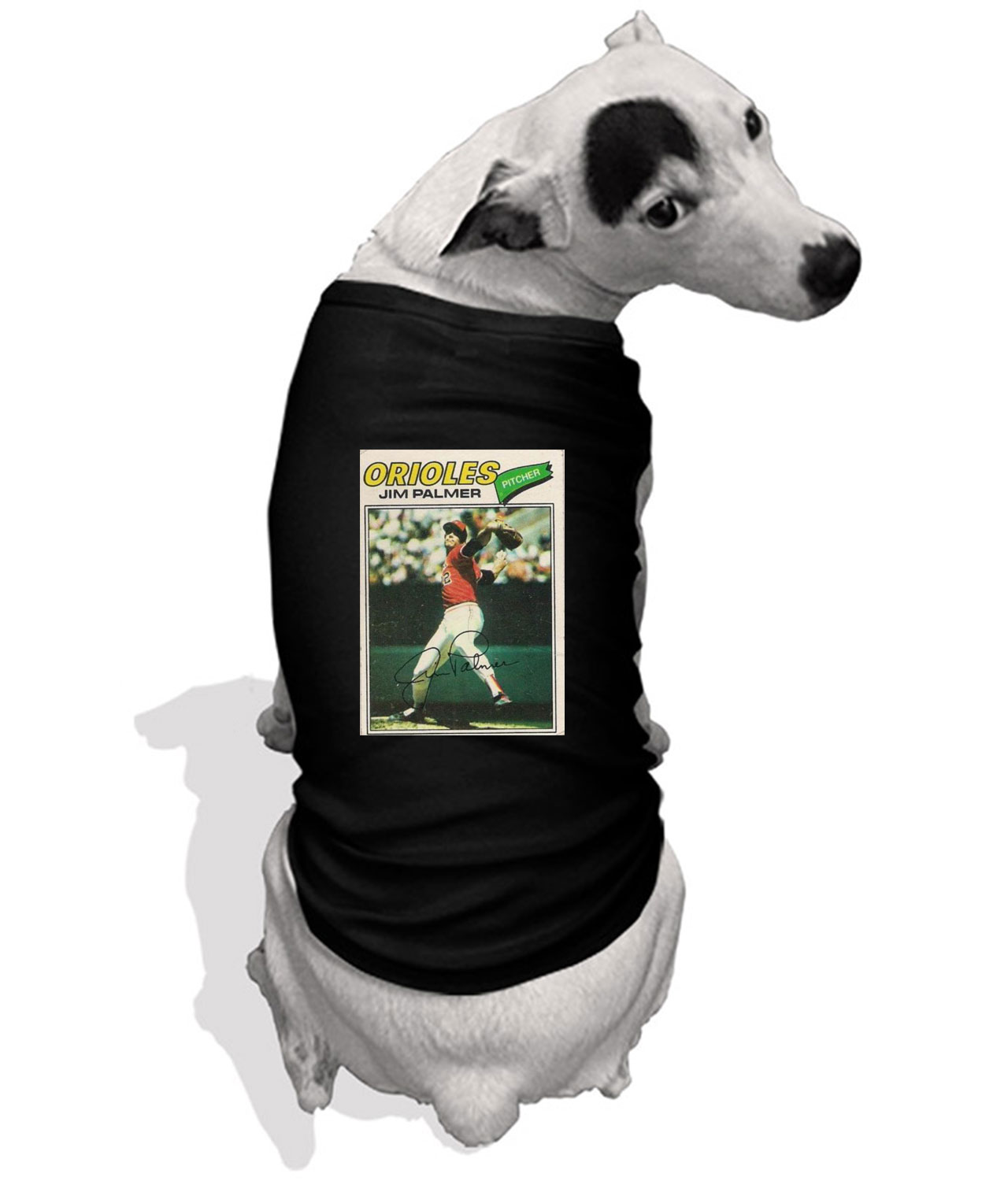 1977 Baltimore Orioles Jim Palmer Pitcher Photo Customized Design on Doggie Puppy Dog Tshirt