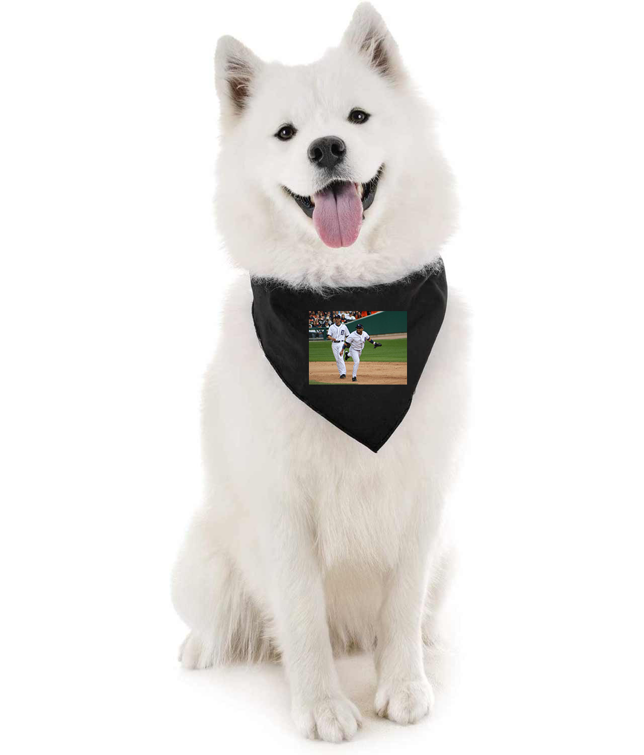 2009 Team Detroit Tigers Photo Baseball Logo Symbol Emblem Customized Design on Doggie Puppy Dog Bandana