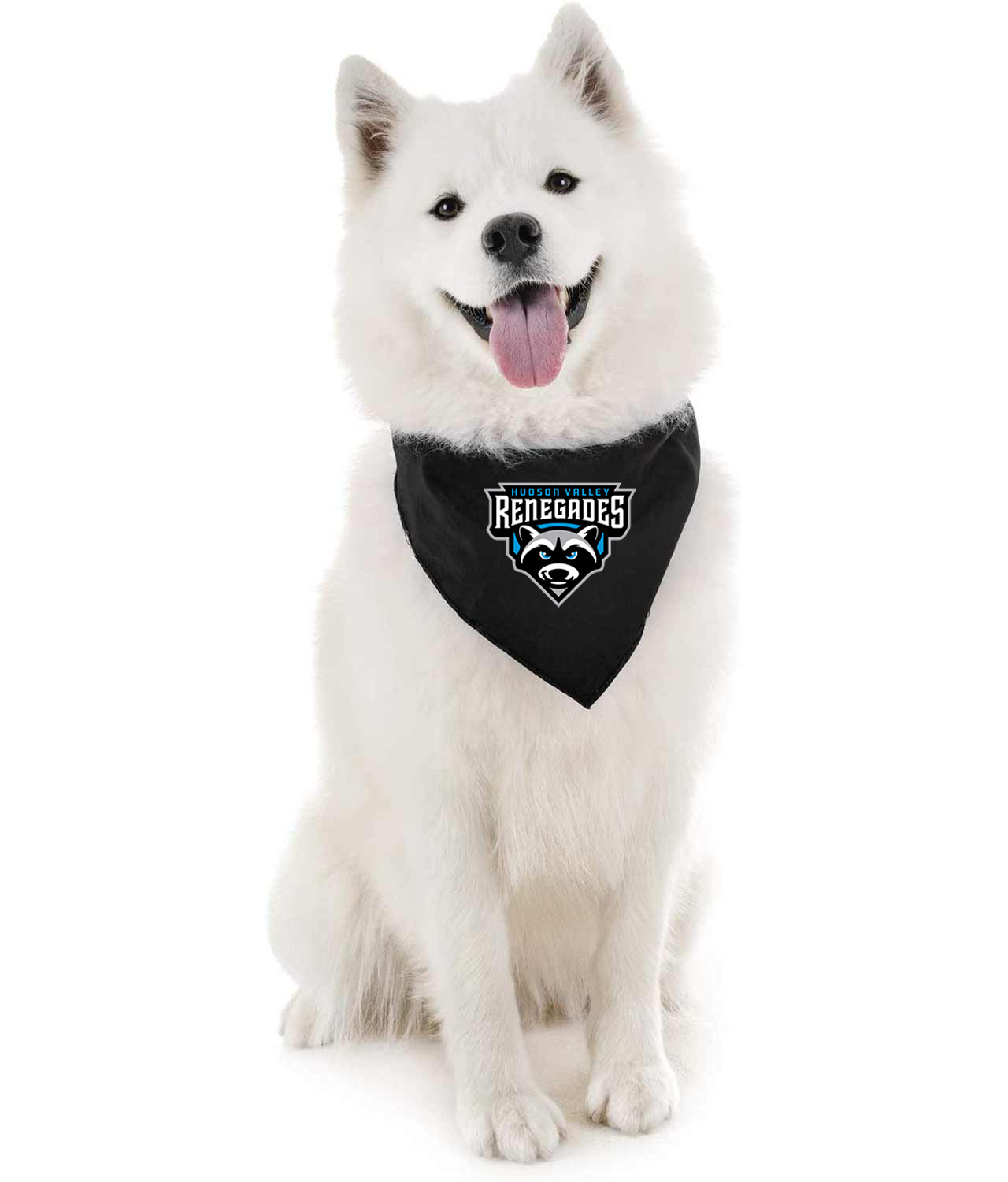 Hudson Valley Renegades Baseball Logo Symbol Emblem Customized Design on Doggie Puppy Dog Bandana