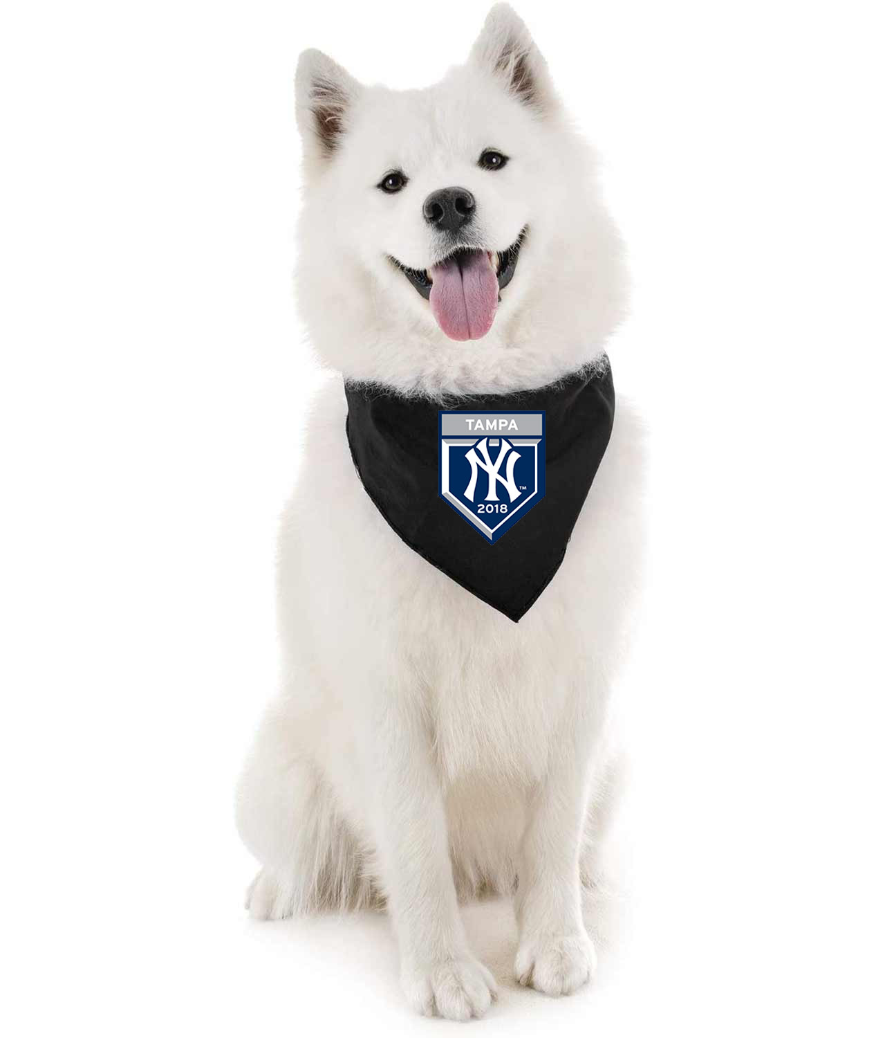 New York Yankees 2018 Spring Training Baseball Logo Symbol Emblem Customized Design on Doggie Puppy Dog Bandana