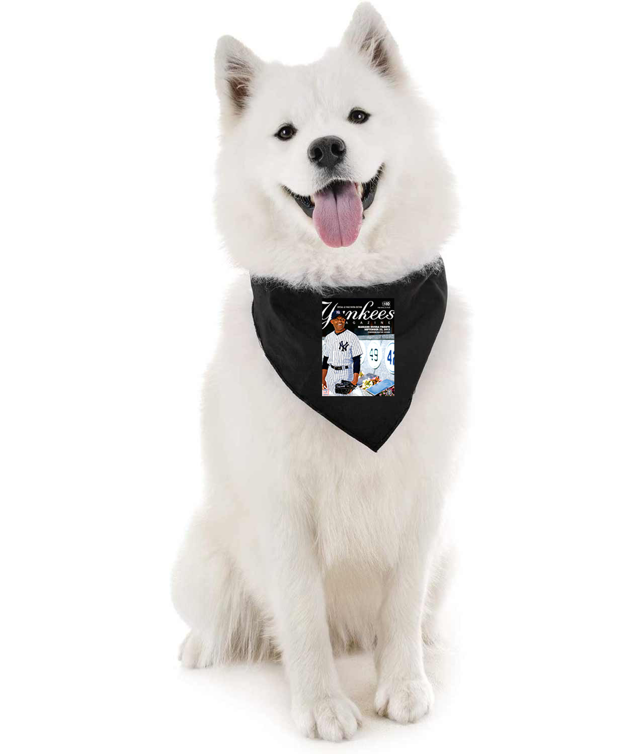 New York Yankees Program 2013 Baseball Logo Symbol Emblem Customized Design on Doggie Puppy Dog Bandana