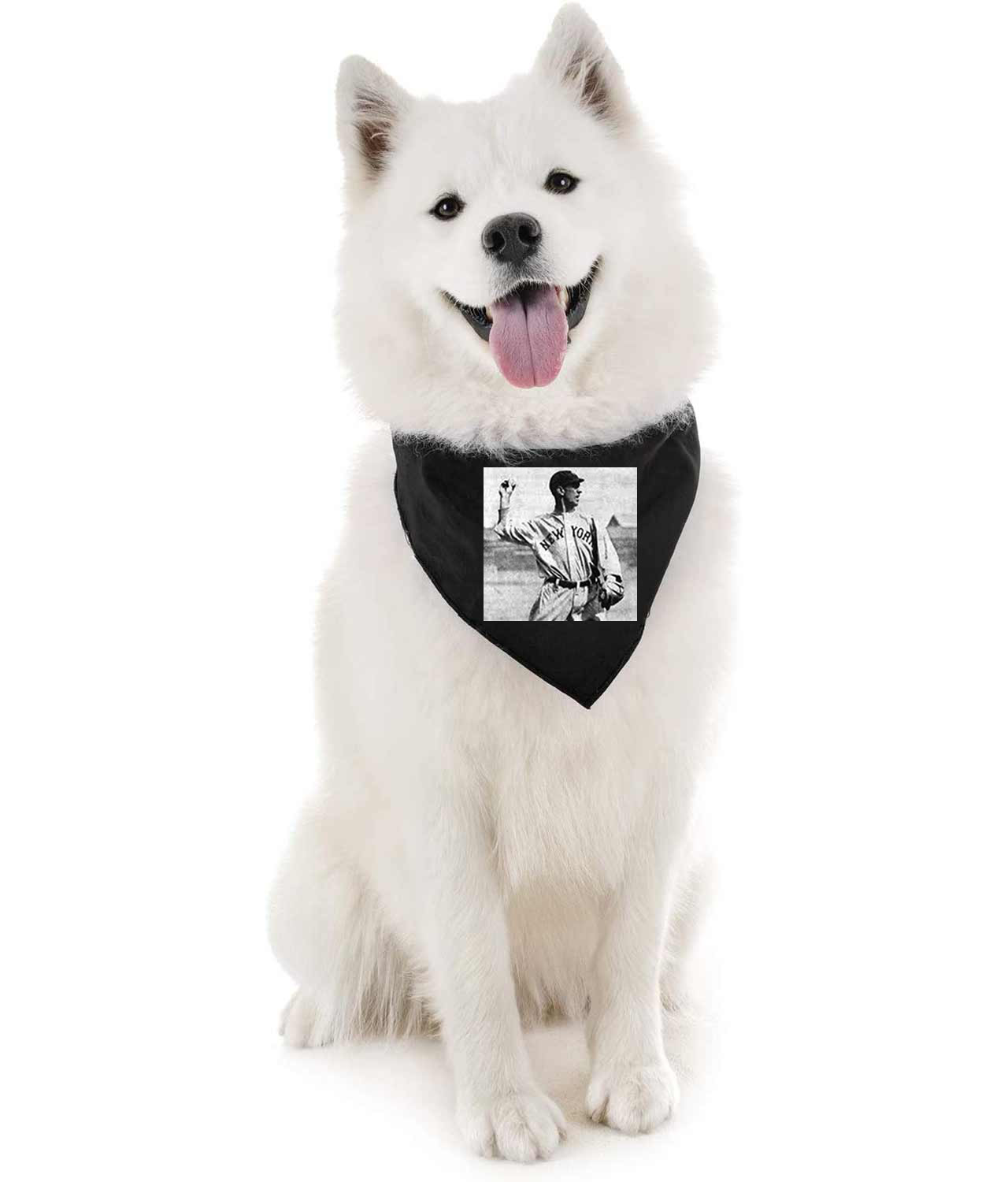 Roger Peckinpaugh New York Yankees 1913 Baseball Logo Symbol Emblem Customized Design on Doggie Puppy Dog Bandana