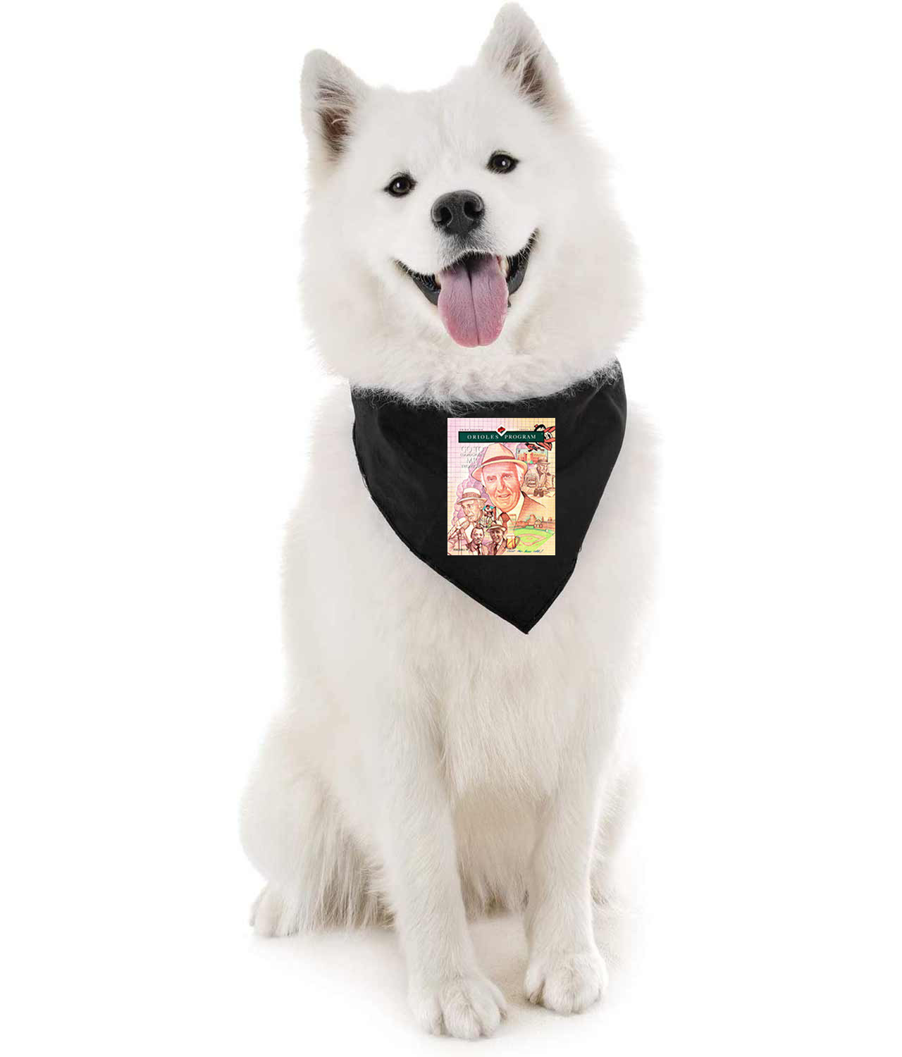 1993 Baltimore Orioles Game Program Baseball Logo Symbol Emblem Customized Design on Doggie Puppy Dog Bandana