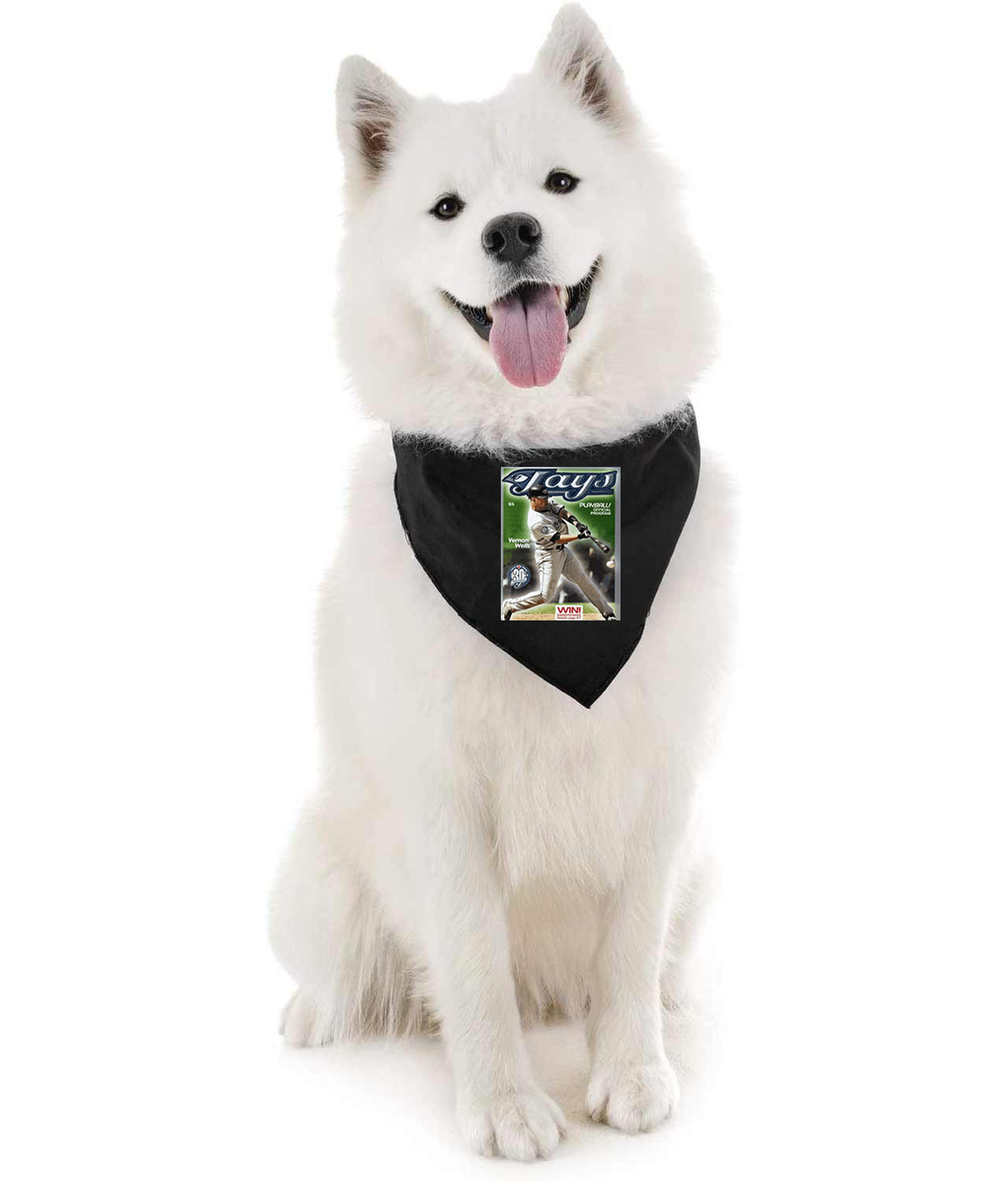 2006 Toronto Blue Jays Game Program - Vernon Wells Baseball Logo Symbol Emblem Customized Design on Doggie Puppy Dog Bandana