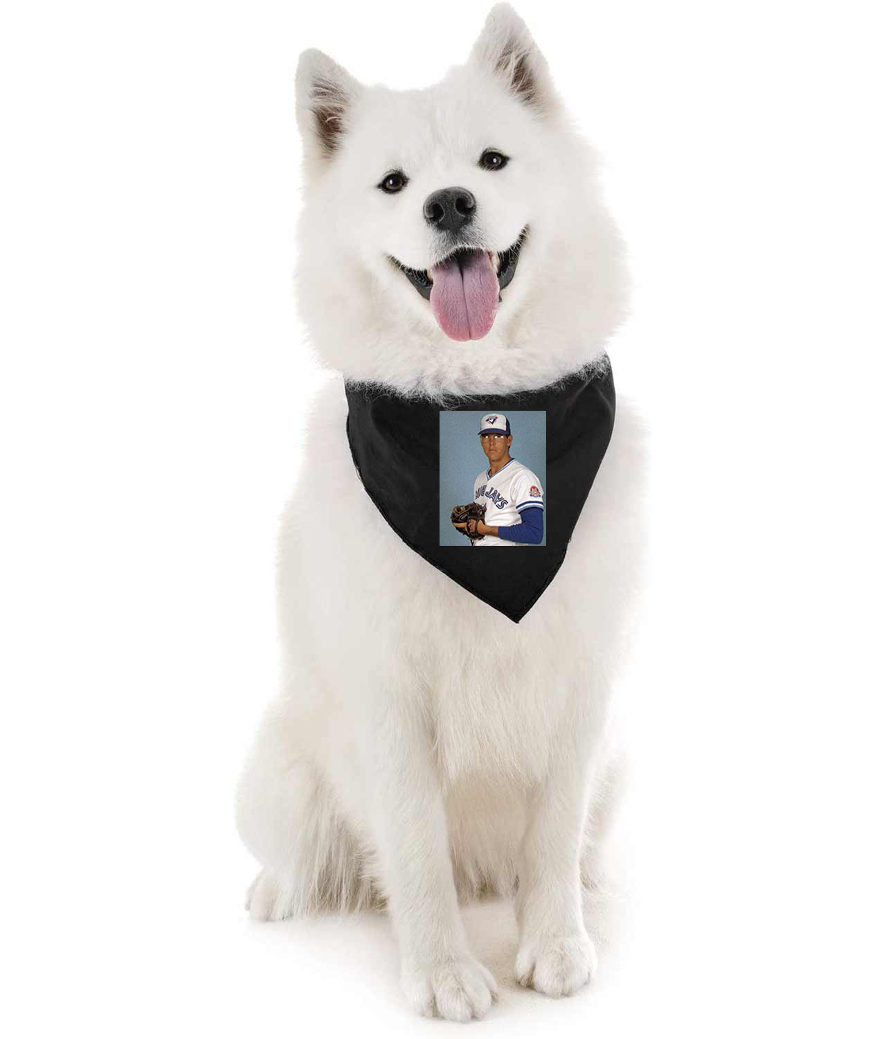 1984 Tom Henke Toronto Blue Jays Photo Baseball Logo Symbol Emblem Customized Design on Doggie Puppy Dog Bandana