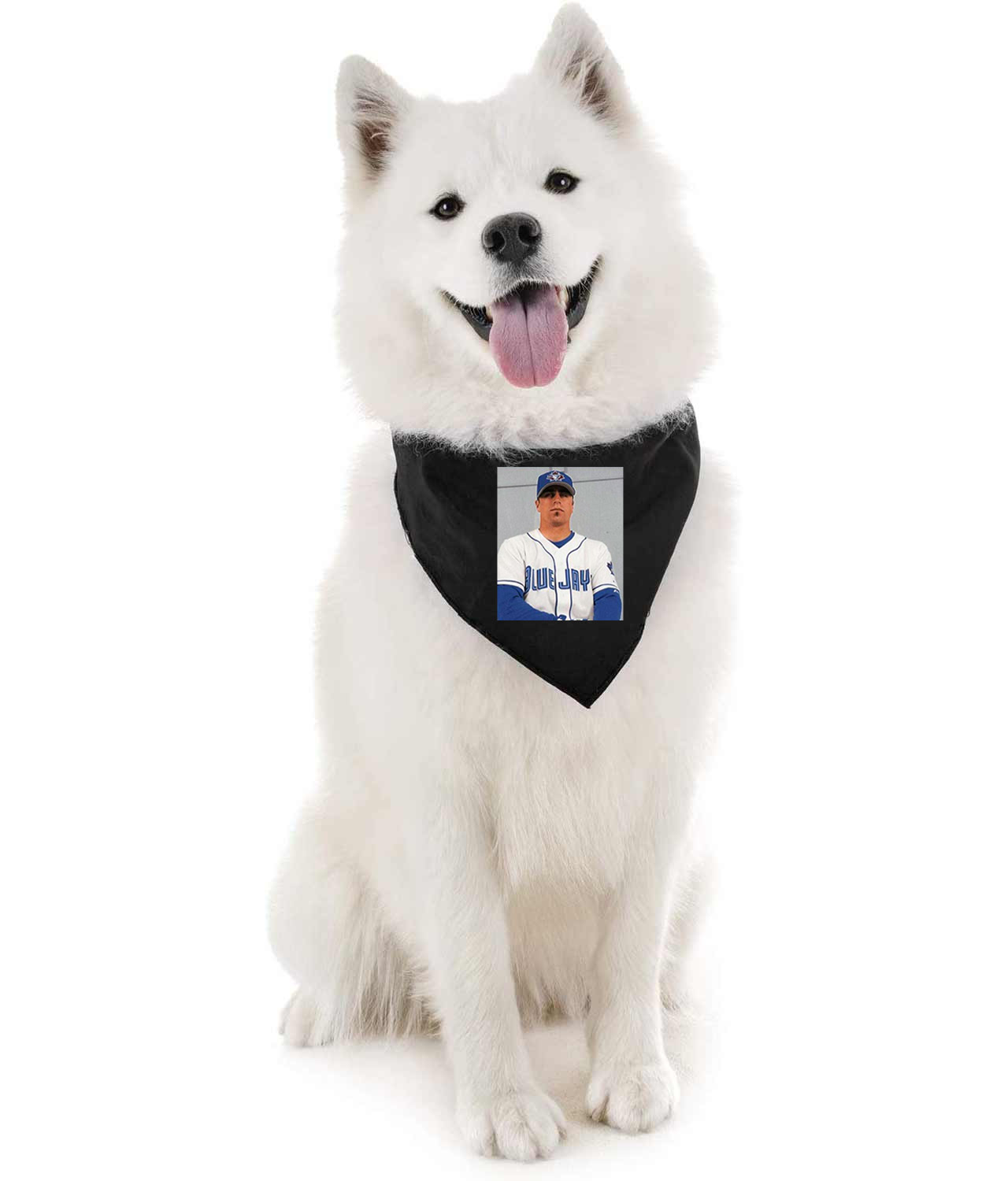 2002 Reed Johnson Toronto Blue Jays Photo Baseball Logo Symbol Emblem Customized Design on Doggie Puppy Dog Bandana