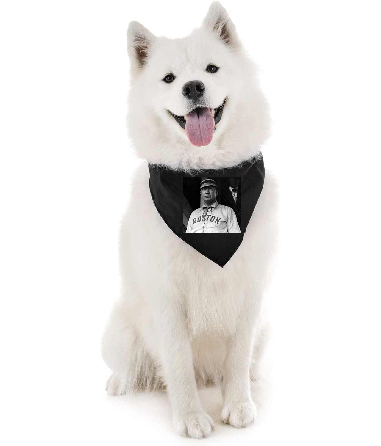 Cy Young Boston Americans 1903 Season Baseball Logo Symbol Emblem Customized Design on Doggie Puppy Dog Bandana
