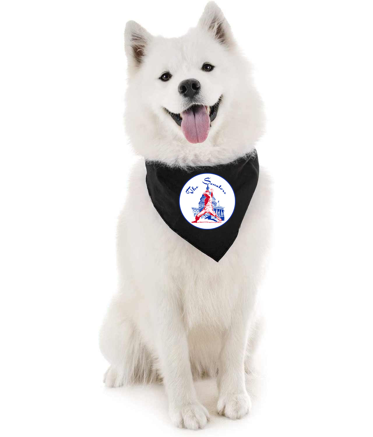 Washington Senators Primary 1961-71 Baseball Logo Symbol Emblem Customized Design on Doggie Puppy Dog Bandana