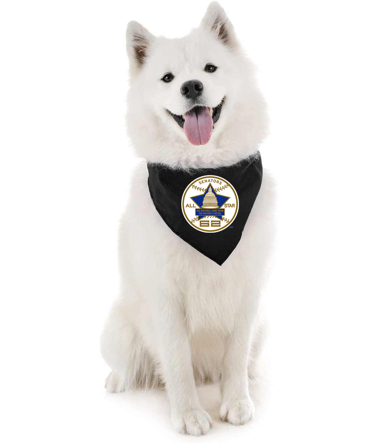 1962 MLB All-Star Game At DC Stadium Washington District Of Columbia Baseball Logo Symbol Emblem Customized Design on Doggie Puppy Dog Bandana