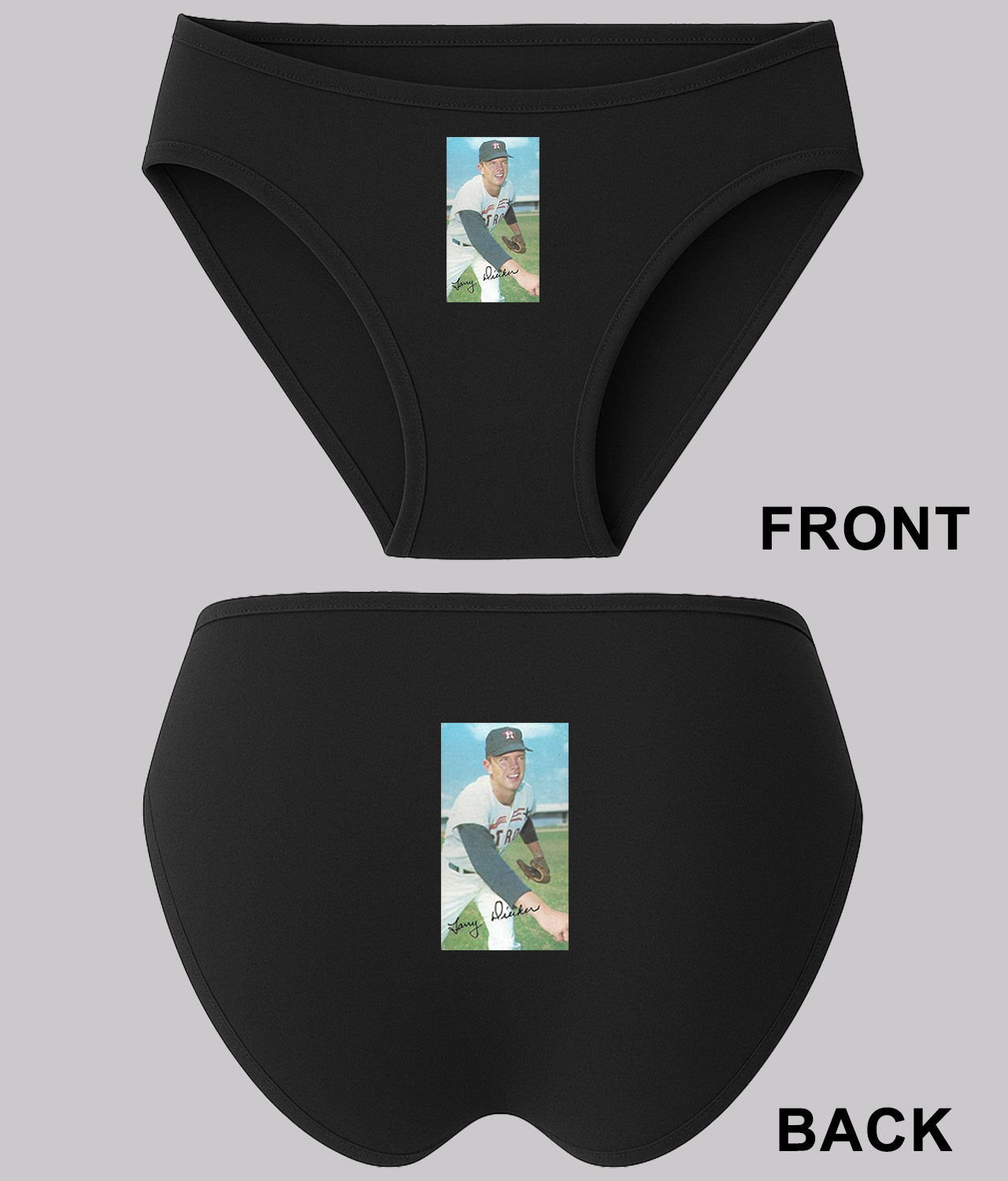 1969 Fanny Dicken Houston Astros Photo Baseball Logo Symbol Emblem Customized Design on Women's Bikini Brief Underwear