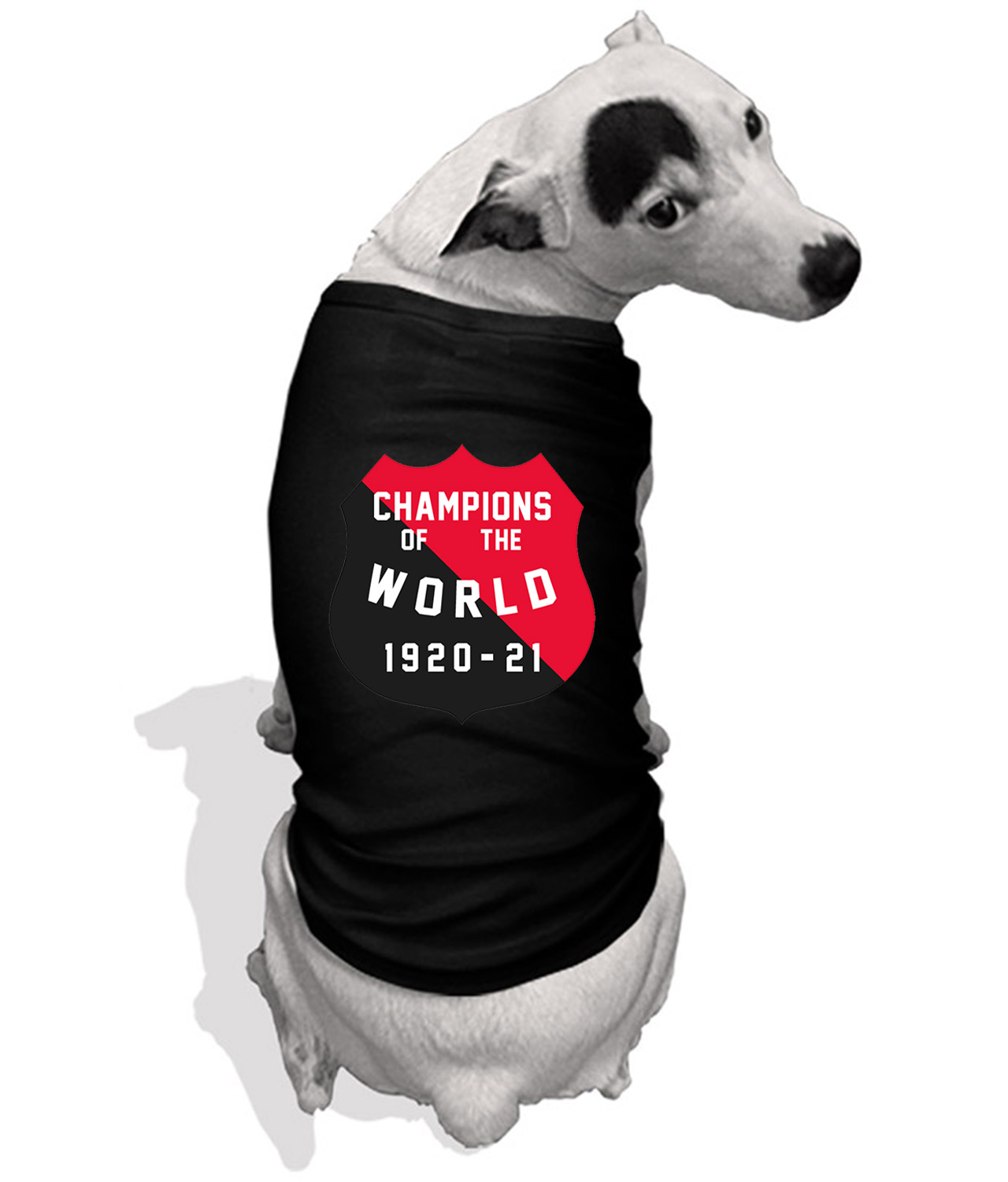 Ottawa Senators World's Champs (Stanley Cup) 1920-21 Hockey Logo Symbol Emblem Customized Design on Doggie Puppy Dog Tank Tshirt