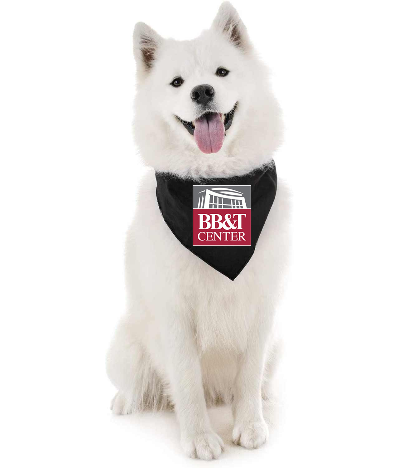 Florida Panthers BB&T Center Stadium Hockey Logo Symbol Emblem Customized Design on Doggie Puppy Dog Bandana