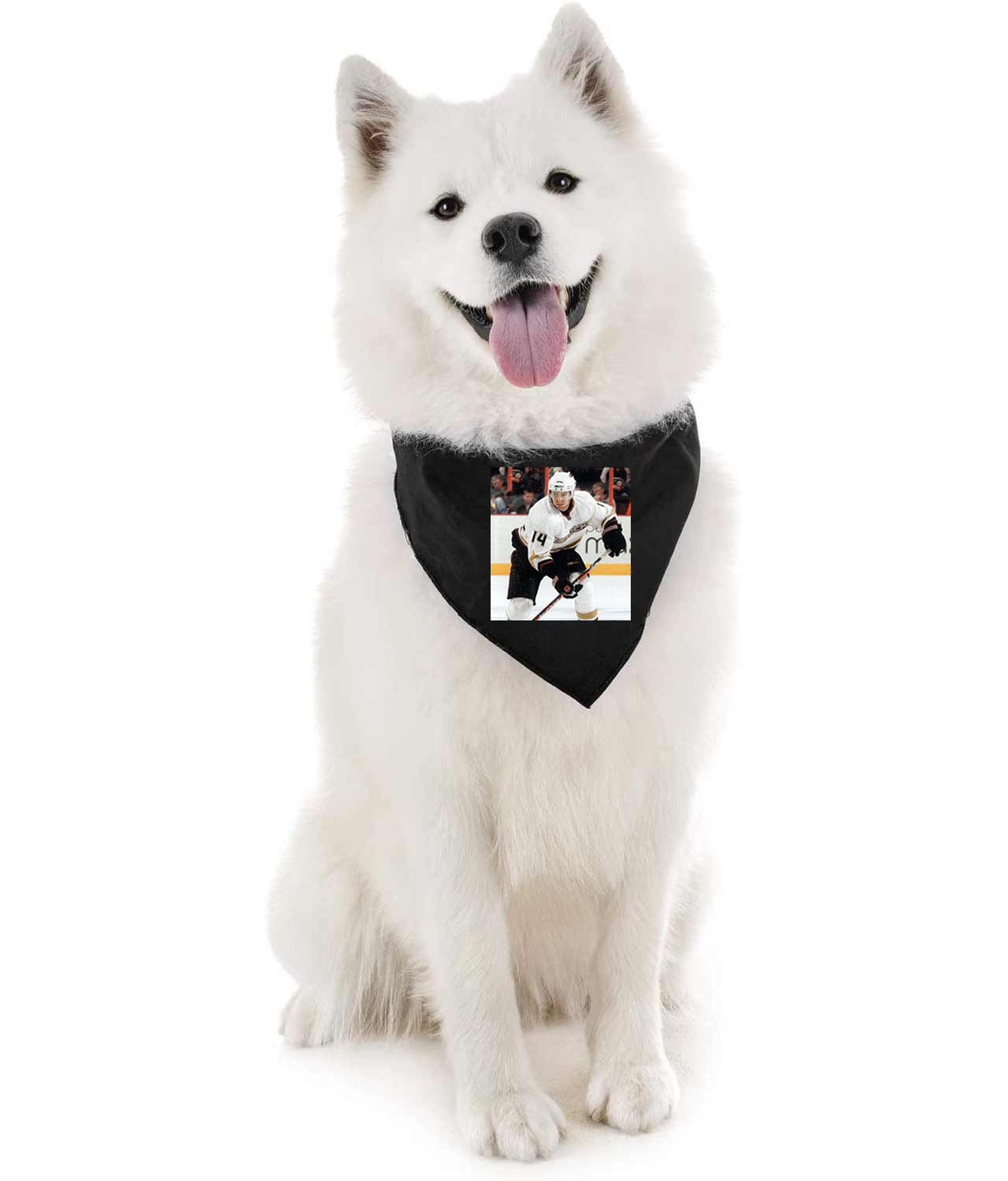 2009 Anaheim Ducks Joffrey Lupul Photo Hockey Logo Symbol Emblem Customized Design on Doggie Puppy Dog Bandana