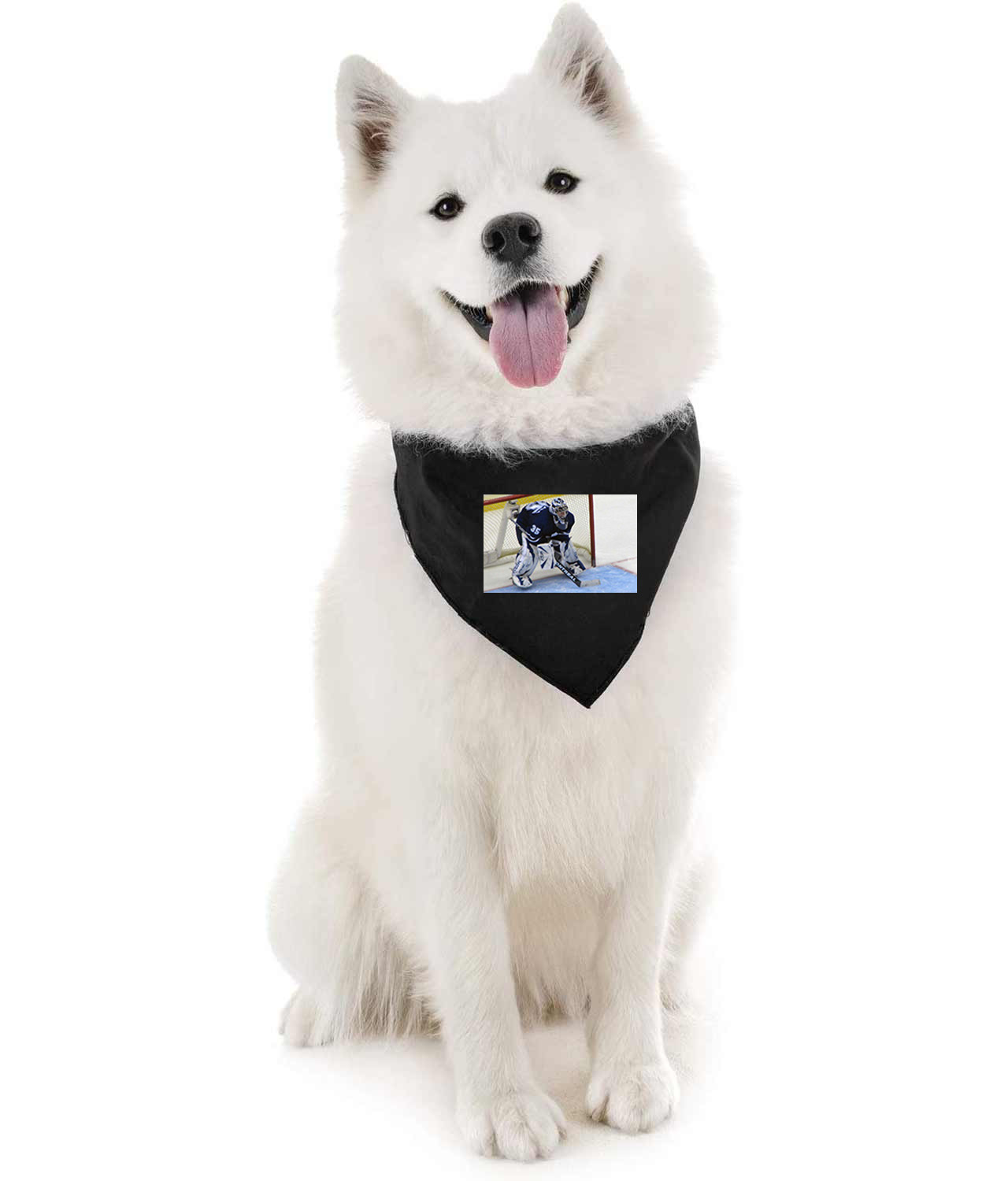 2007 Toronto Maple Leafs Photo Hockey Logo Symbol Emblem Customized Design on Doggie Puppy Dog Bandana - Image 1