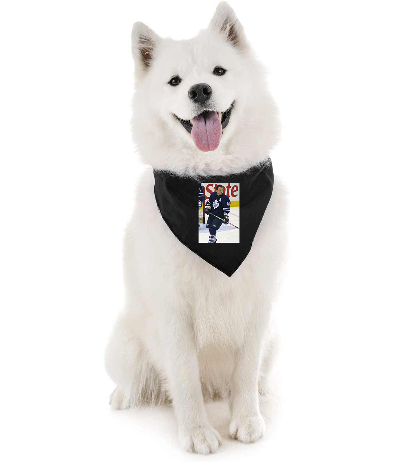 2007-08 Toronto Maple Leafs Photo Hockey Logo Symbol Emblem Customized Design on Doggie Puppy Dog Bandana