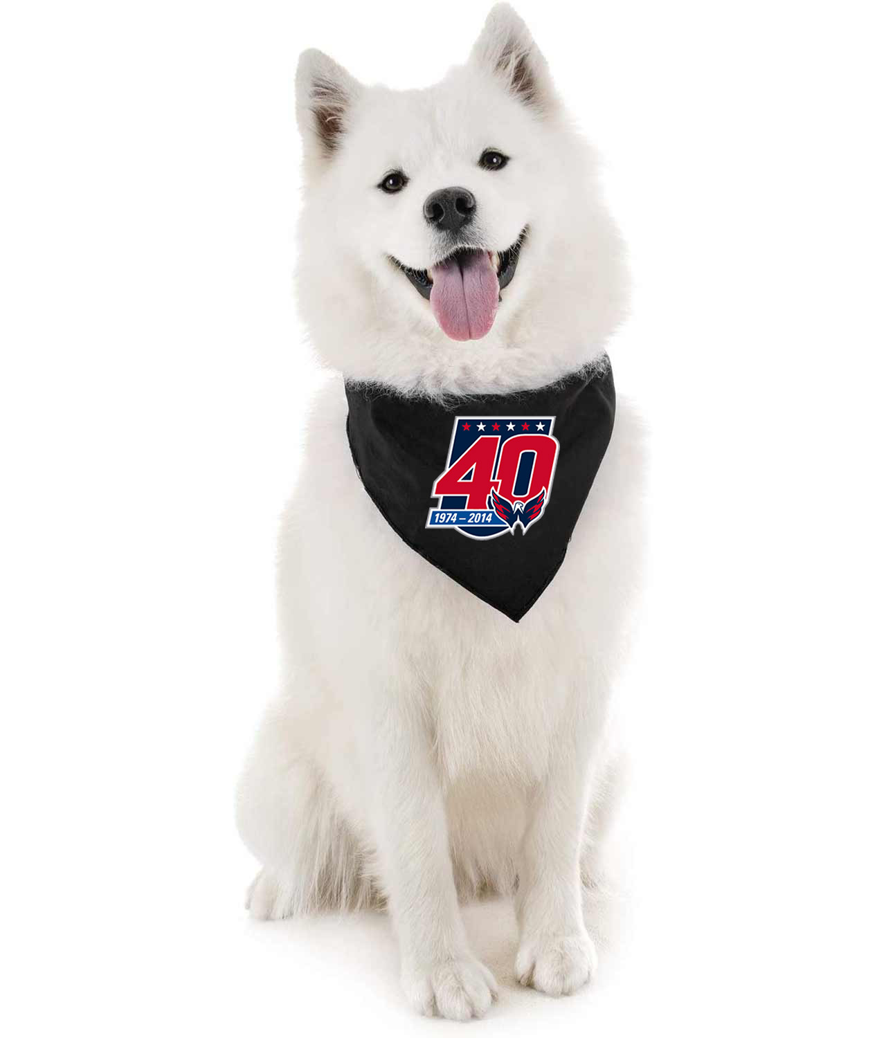Washington Capitals 40th Anniversary Hockey Logo Symbol Emblem Customized Design on Doggie Puppy Dog Bandana