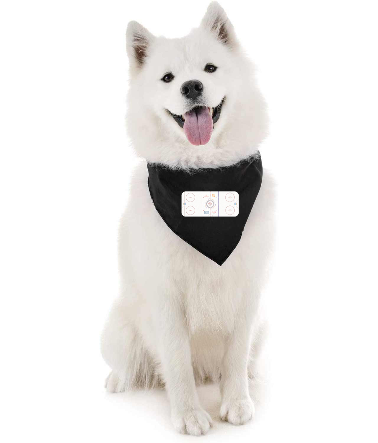 Winnipeg Jets MTS Place Stadium Ice Surface Hockey Logo Symbol Emblem Customized Design on Doggie Puppy Dog Bandana