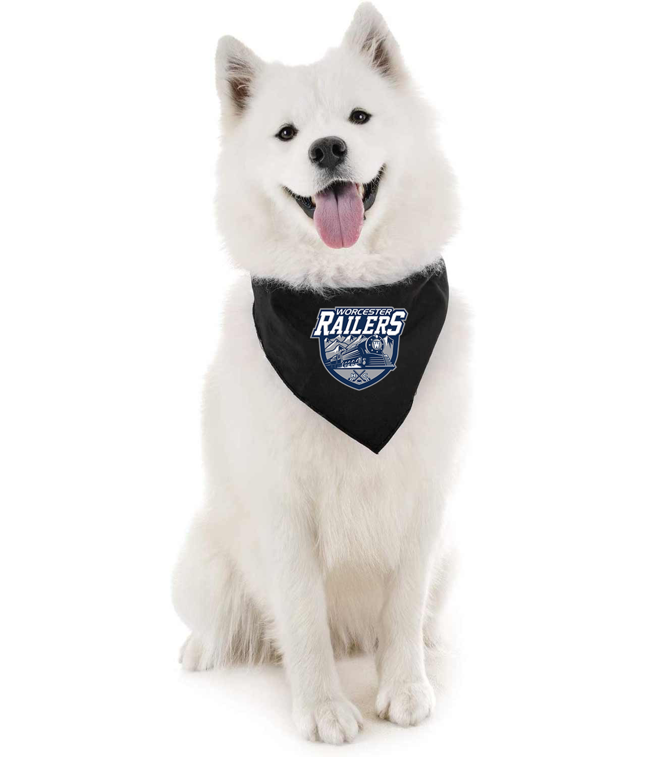 Worcester Railers HC Hockey Logo Symbol Emblem Customized Design on Doggie Puppy Dog Bandana