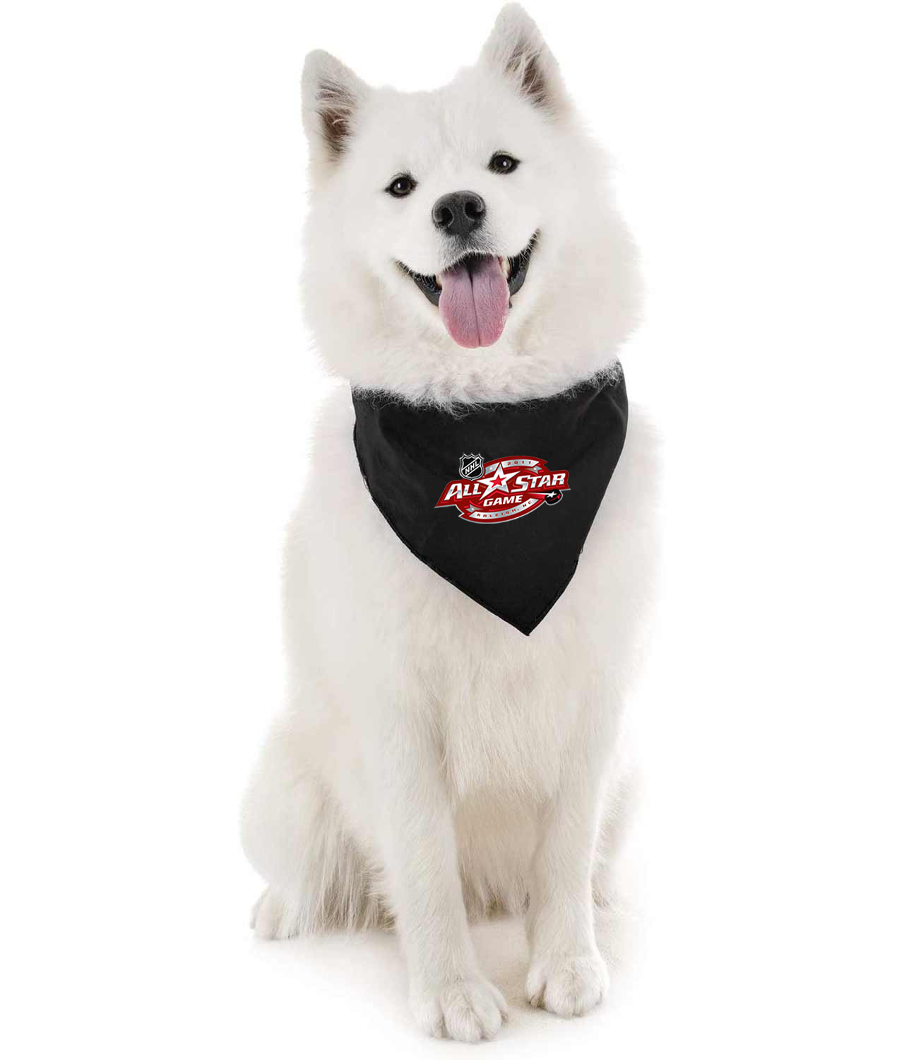 2011 NHL All-Star Game Played In Raleigh, North Carolina Hockey Logo Symbol Emblem Customized Design on Doggie Puppy Dog Bandana