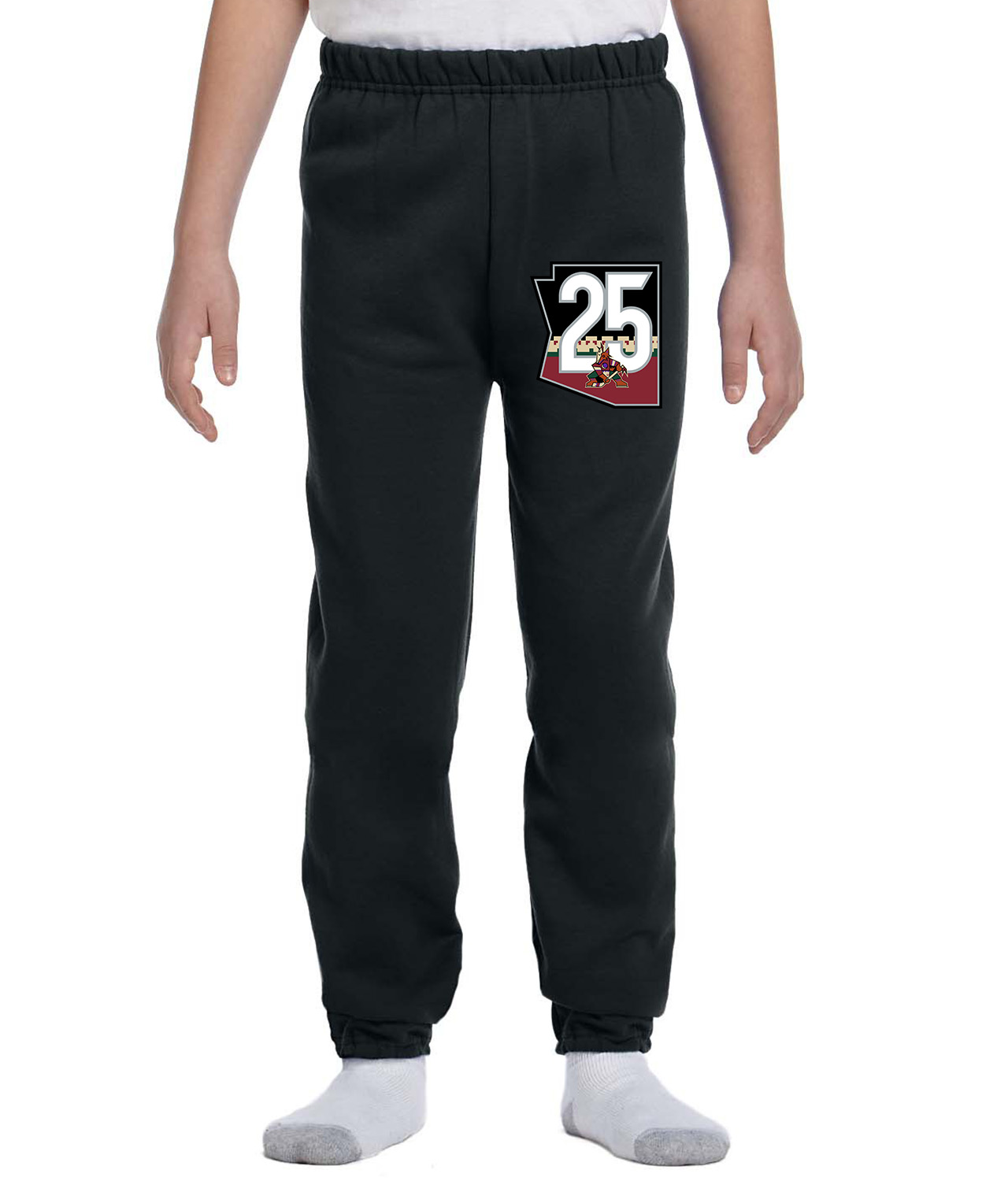 Arizona Phoenix Coyotes 25th Anniversary 2020 Hockey Logo Symbol Emblem Customized Design on Youth Closed-Bottom Sweatpants