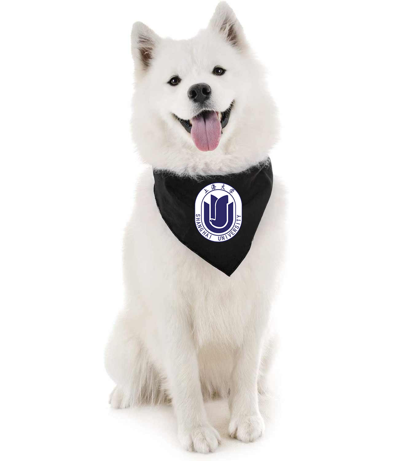 Shanghai University School Logo Symbol Emblem Customized Design on Doggie Puppy Dog Bandana
