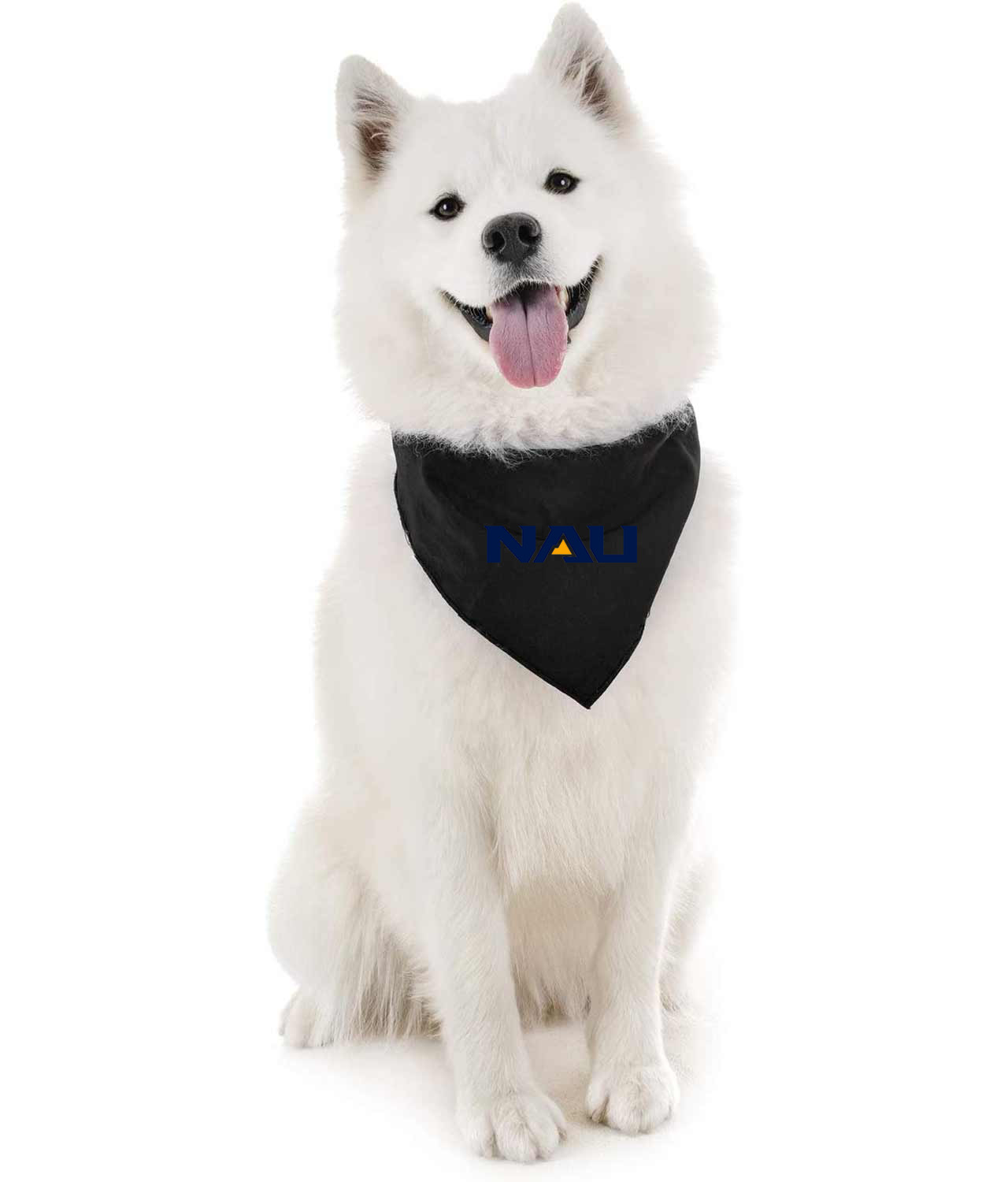 Northern Arizona University Logo Symbol Emblem Customized Design on Doggie Puppy Dog Bandana